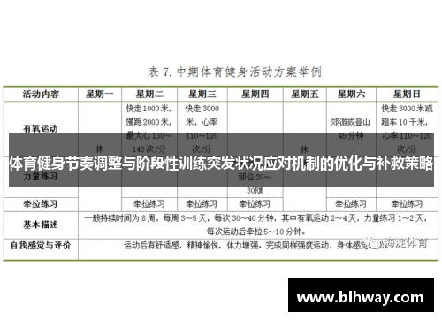 体育健身节奏调整与阶段性训练突发状况应对机制的优化与补救策略